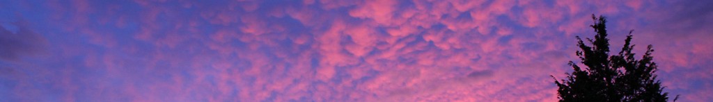 2013_CIM_CECS_1600x230_12